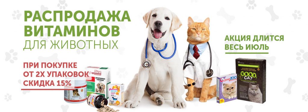 Гомеовет интернет магазин ветеринарная аптека для животных. Гомеовет ветеринарная аптека интернет магазин. Ветеринарная аптека баннер. Ветеринарная аптека Новосибирск. Доктор вет на подшипниковом.